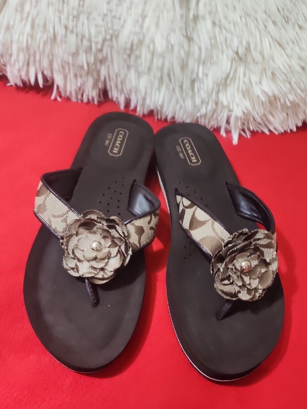 Coach Jillian Brown and Tan Floral Thong Sandals